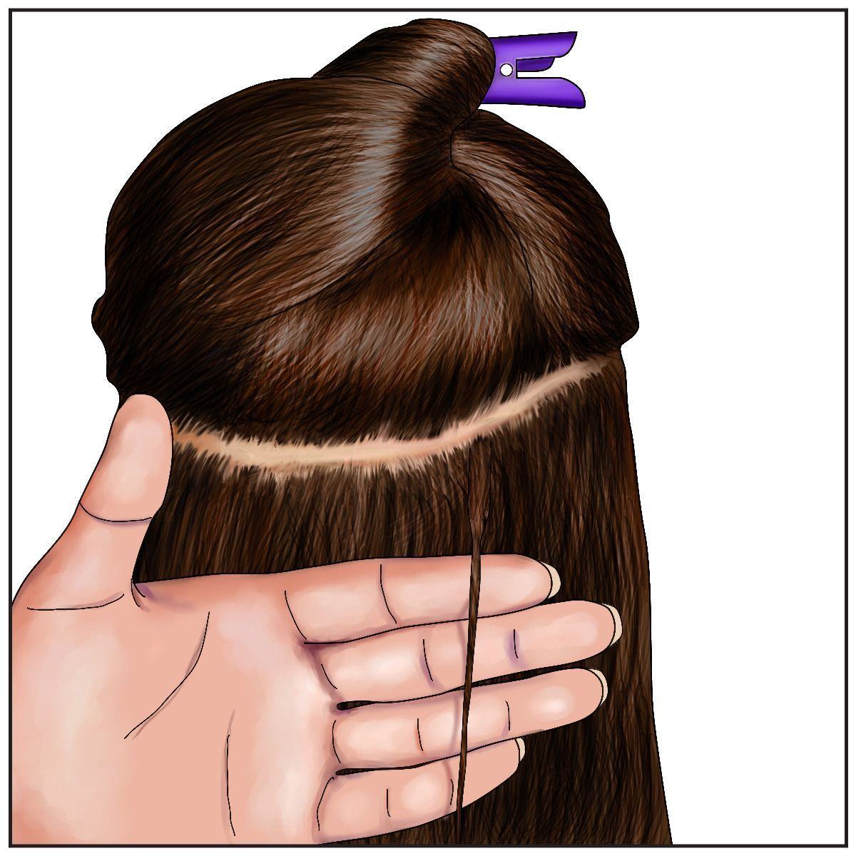Loop_Extensions_Pic1