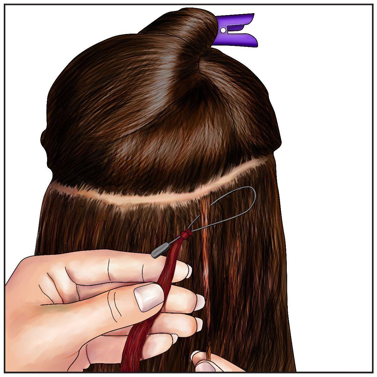 Loop_Extensions_Pic2