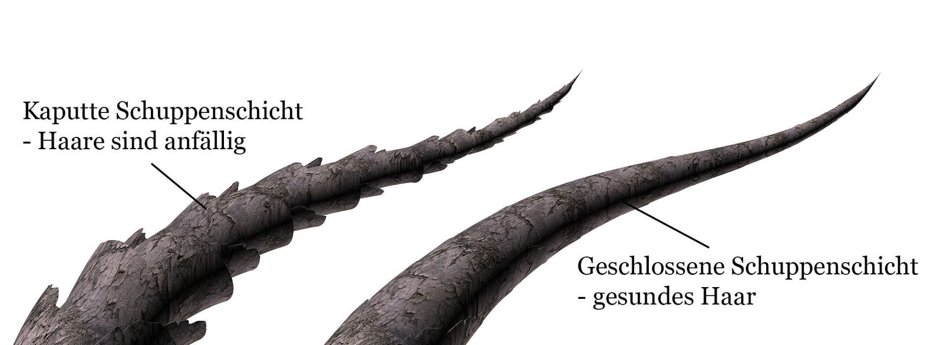 schuppenschicht-remy-bearbeitet